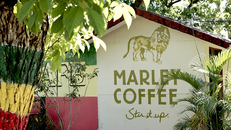 Marley Coffee Hopes to Stir Up the Specialty Coffee Market