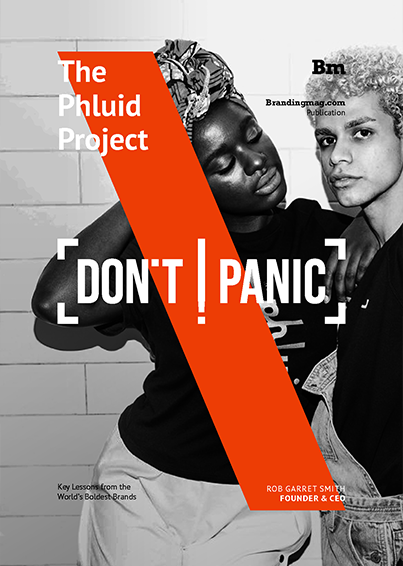 The Phluid Project - Don’t Panic! No. 12 tablet