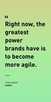 Challenges and Opportunities for 2015 - Branding Roundtable 7 mobile