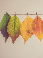 Are Content Experiences Replacing the Content Lifecycle?