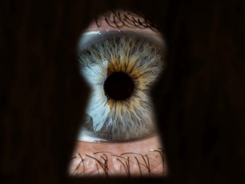 How Curiosity Will Strengthen Your Brand Leadership