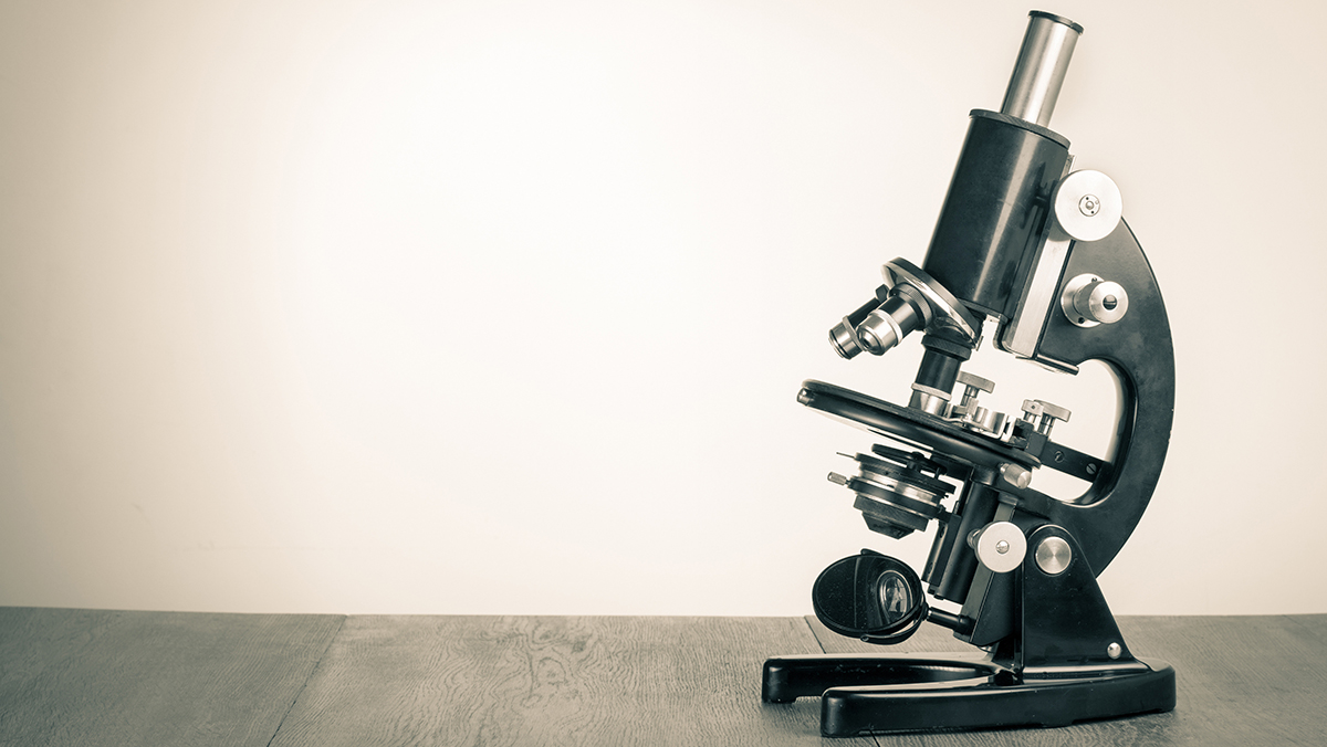 Scientific Superpower: The Importance of a Scientific Mindset in the Creative Industries