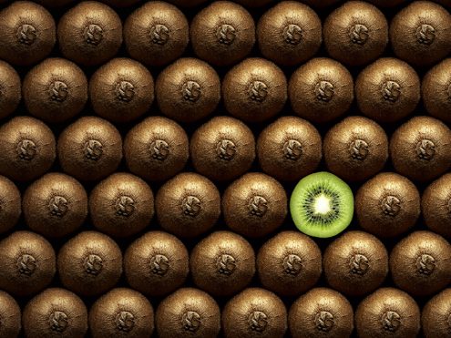 Financial Services Are Mismanaging Their Most Important Asset: Brand